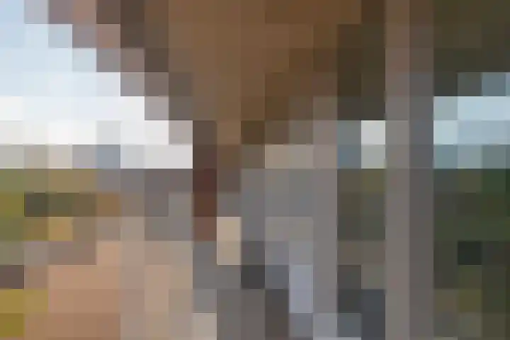 Hoogeveenlaan 8 H Den Haag thumbnail 5