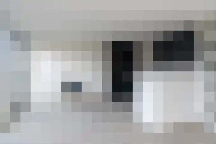Hoogeveenlaan 8 H Den Haag thumbnail 9
