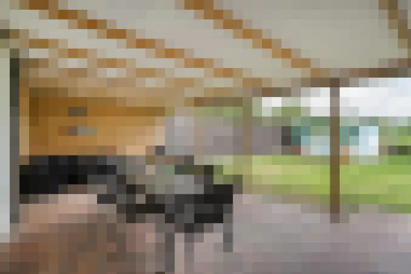 Hoogeveensche Vaart 41 Nieuweroord thumbnail 22