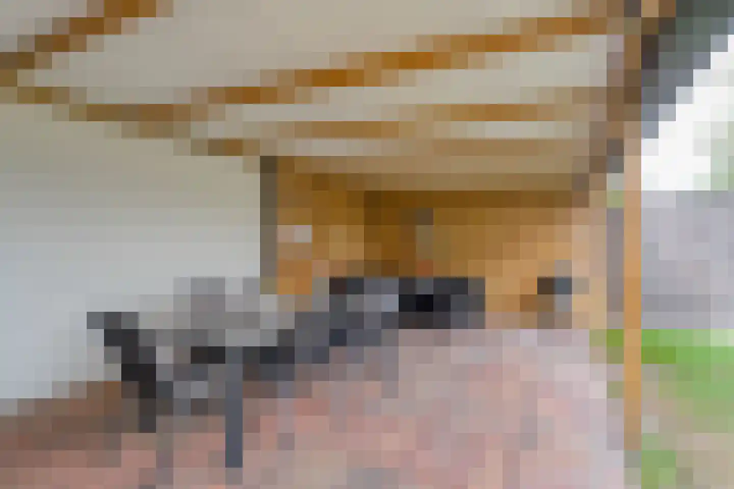 Hoogeveensche Vaart 41 Nieuweroord thumbnail 23