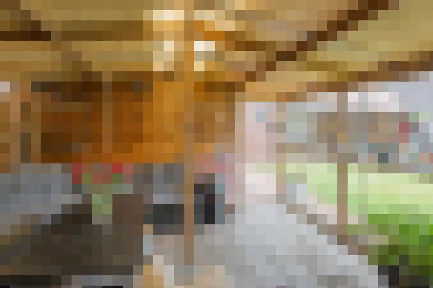Hoogeveensche Vaart 41 Nieuweroord thumbnail 30