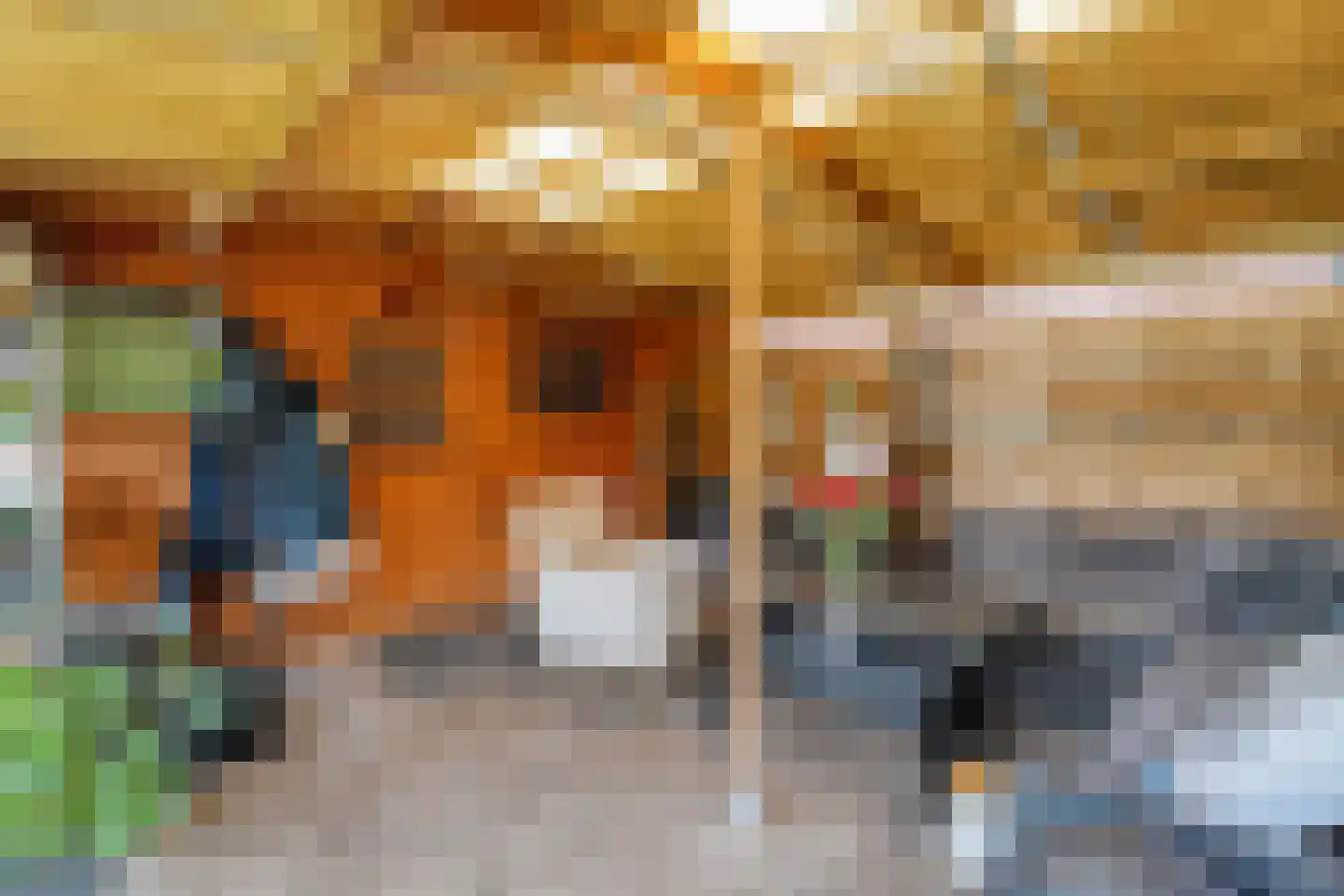 Hoogeveensche Vaart 41 Nieuweroord thumbnail 31
