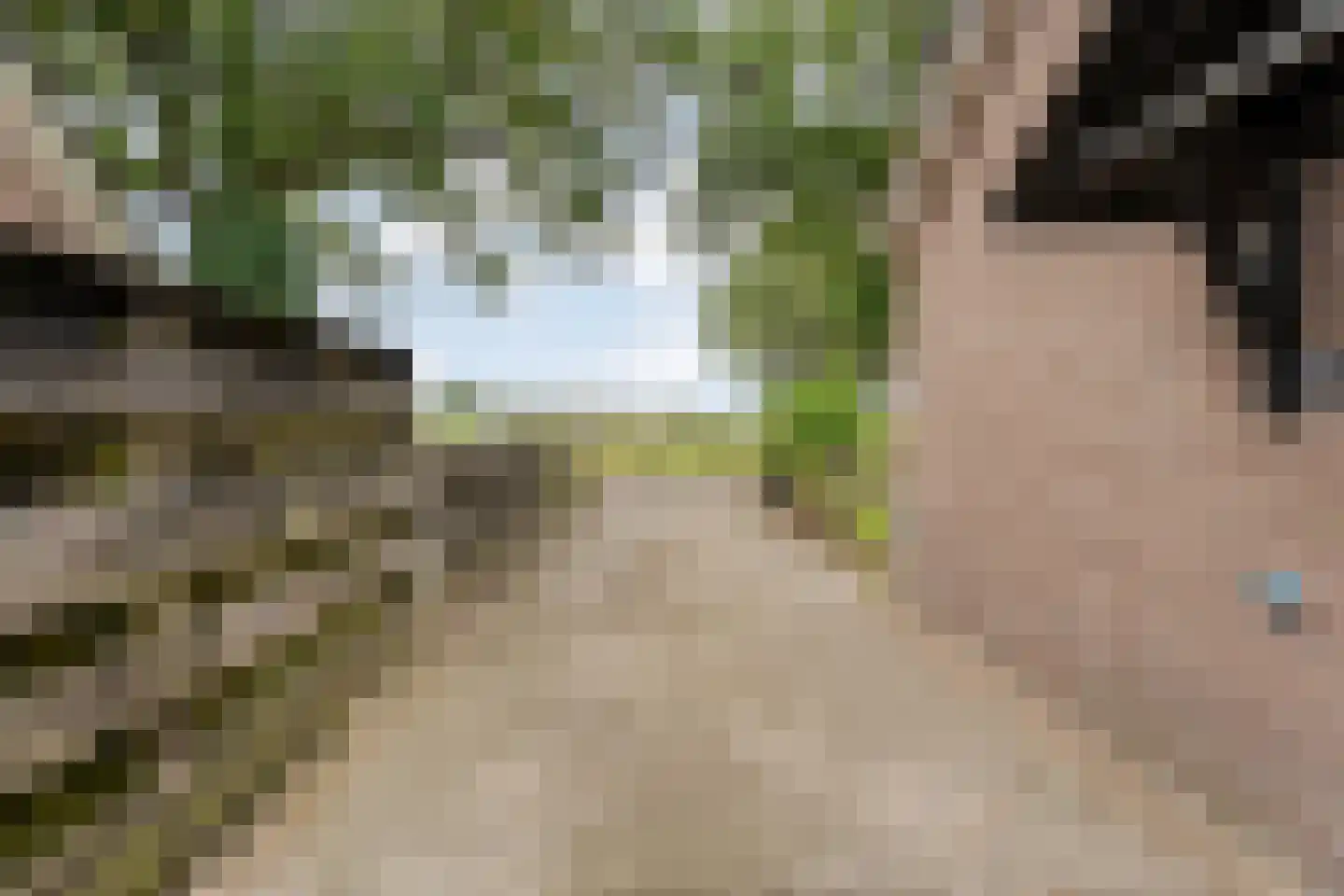 Hoogeveensche Vaart 41 Nieuweroord thumbnail 38
