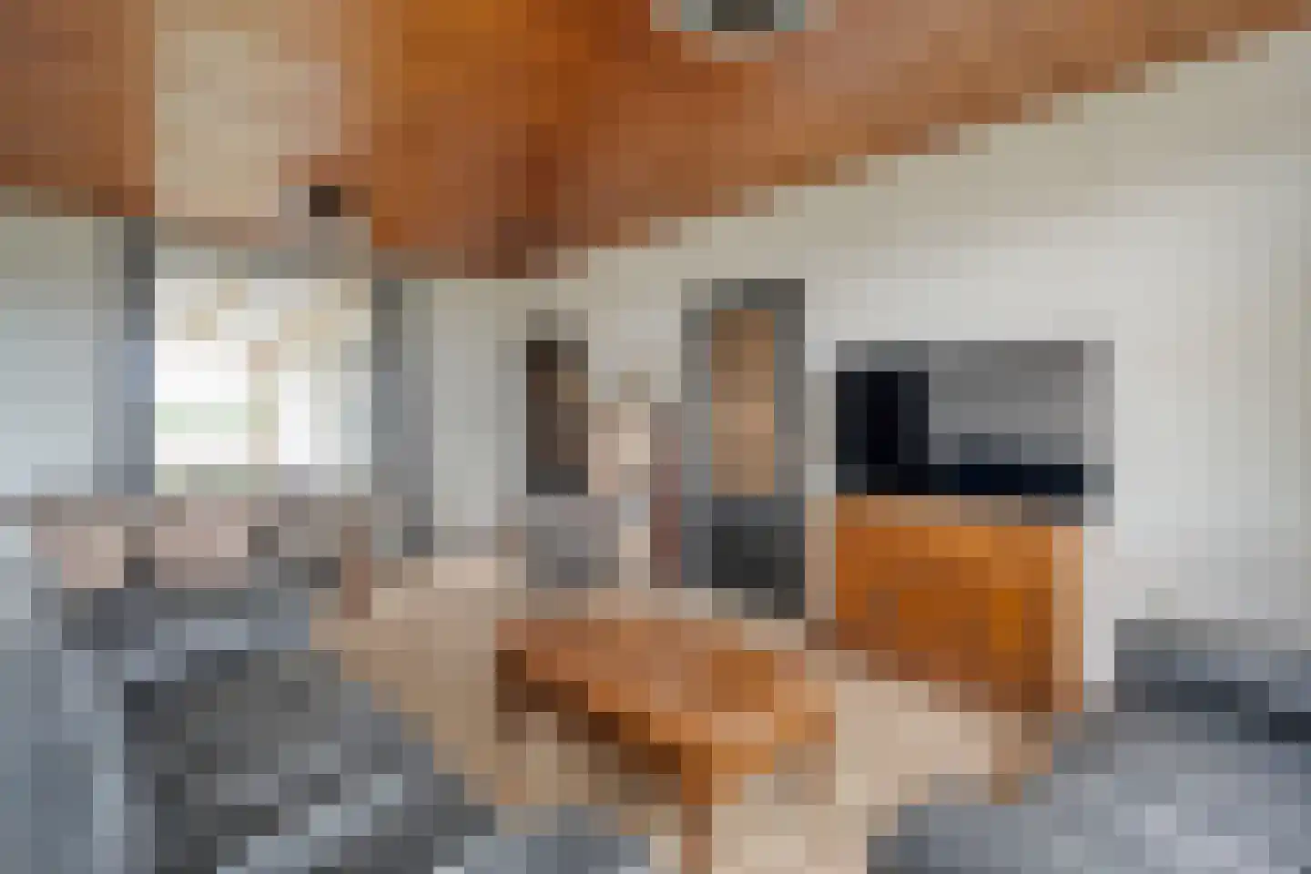Hoogeveensche Vaart 41 Nieuweroord thumbnail 4