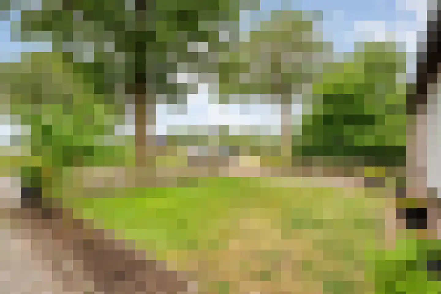 Hoogeveensche Vaart 41 Nieuweroord thumbnail 40