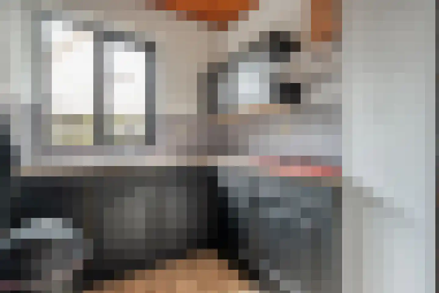 Hoogeveensche Vaart 41 Nieuweroord thumbnail 9