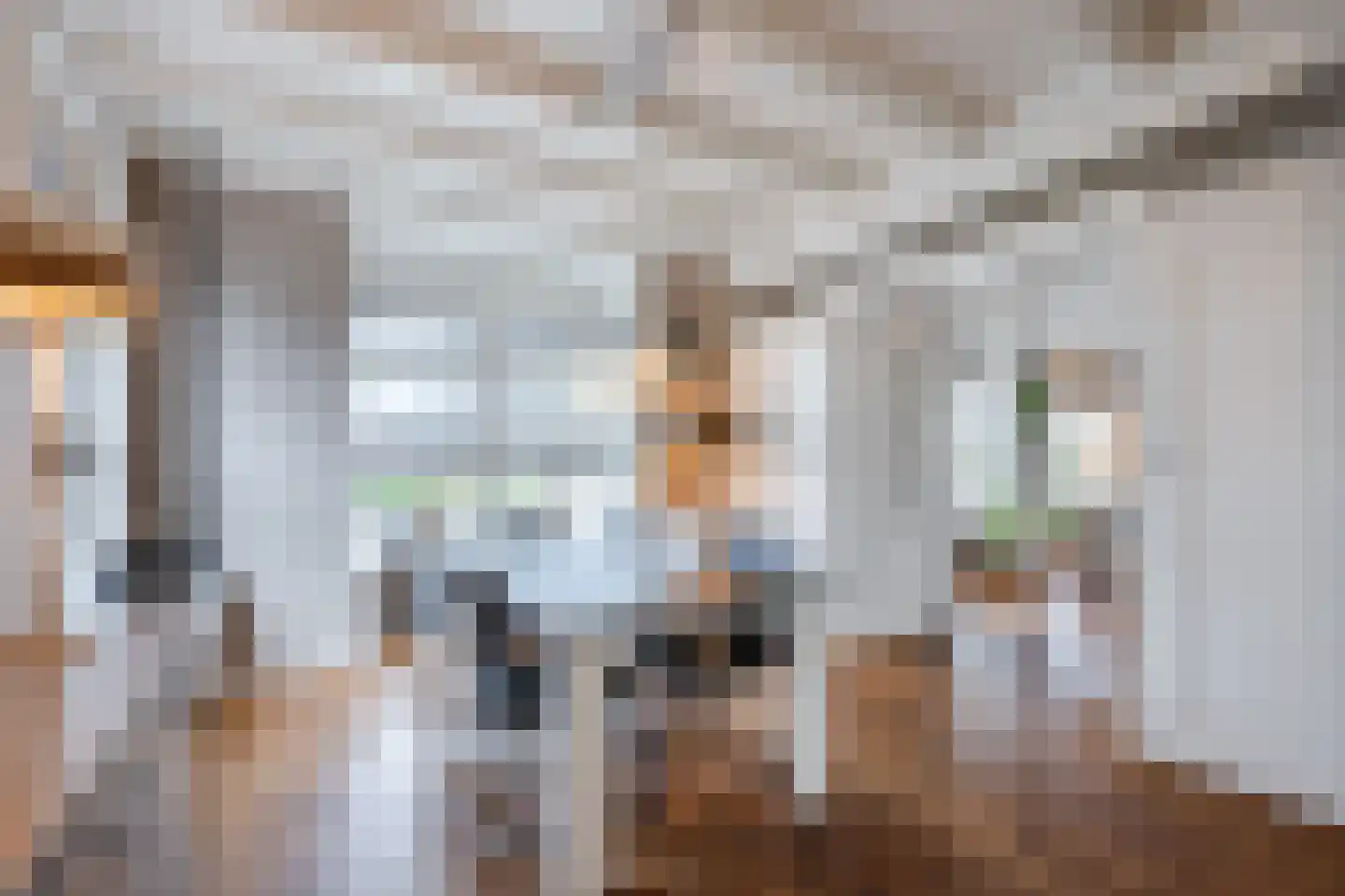 Hoogeveenseweg 1 Balkbrug thumbnail 14