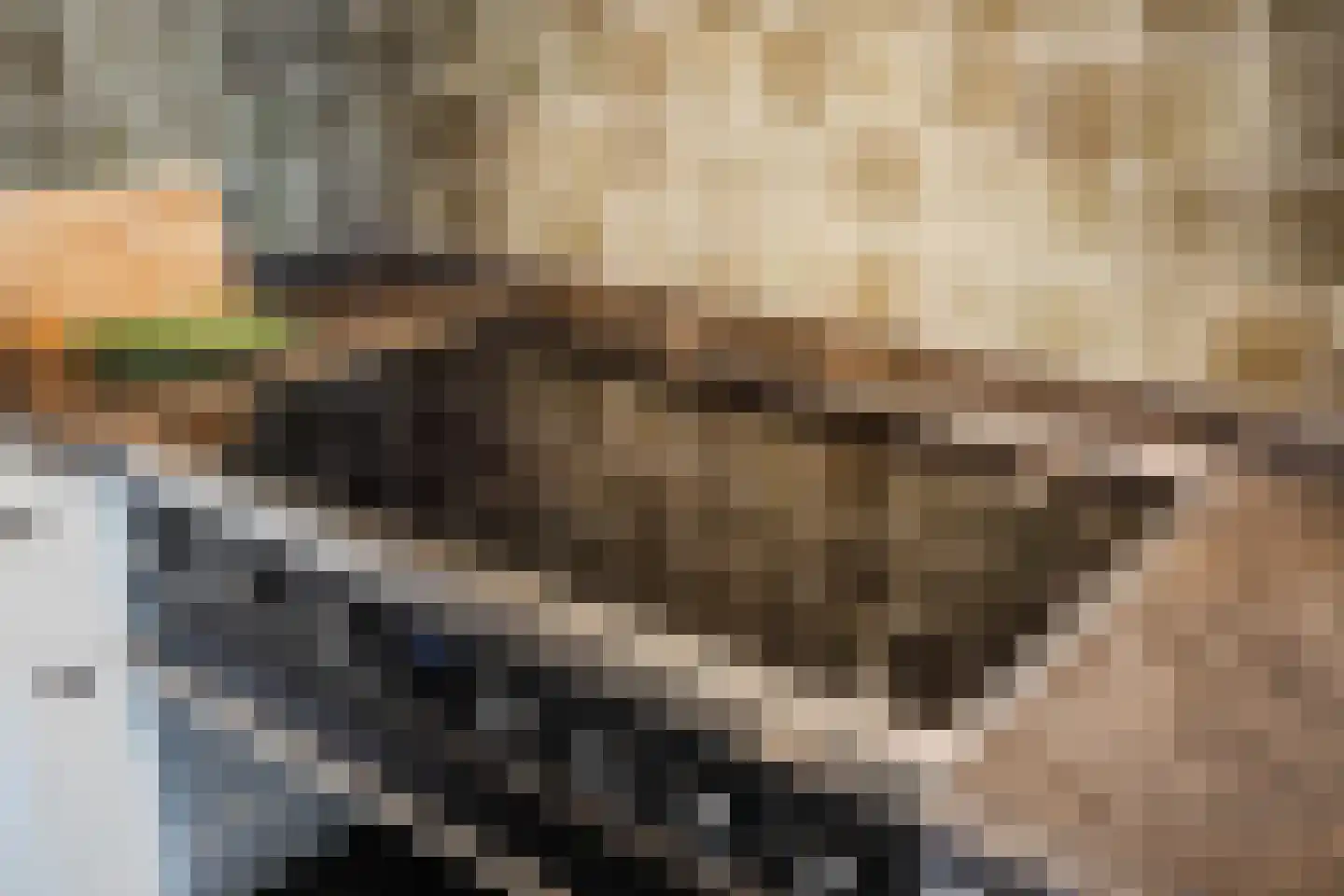 Hoogeveenseweg 1 Balkbrug thumbnail 22
