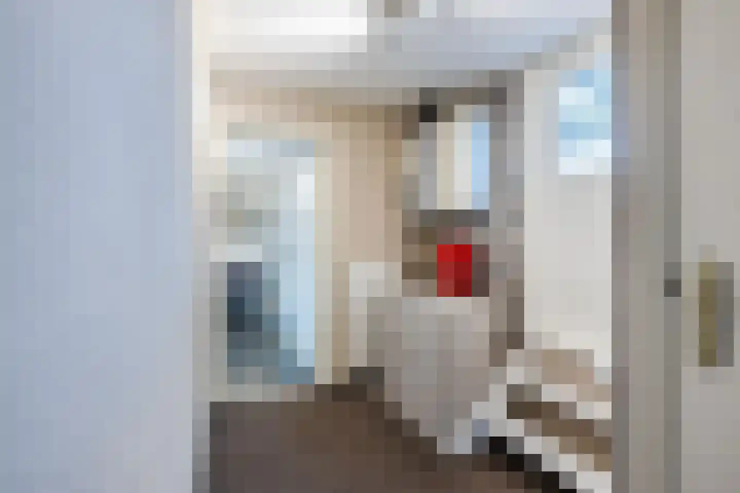 Hoogeveenseweg 1 Balkbrug thumbnail 43