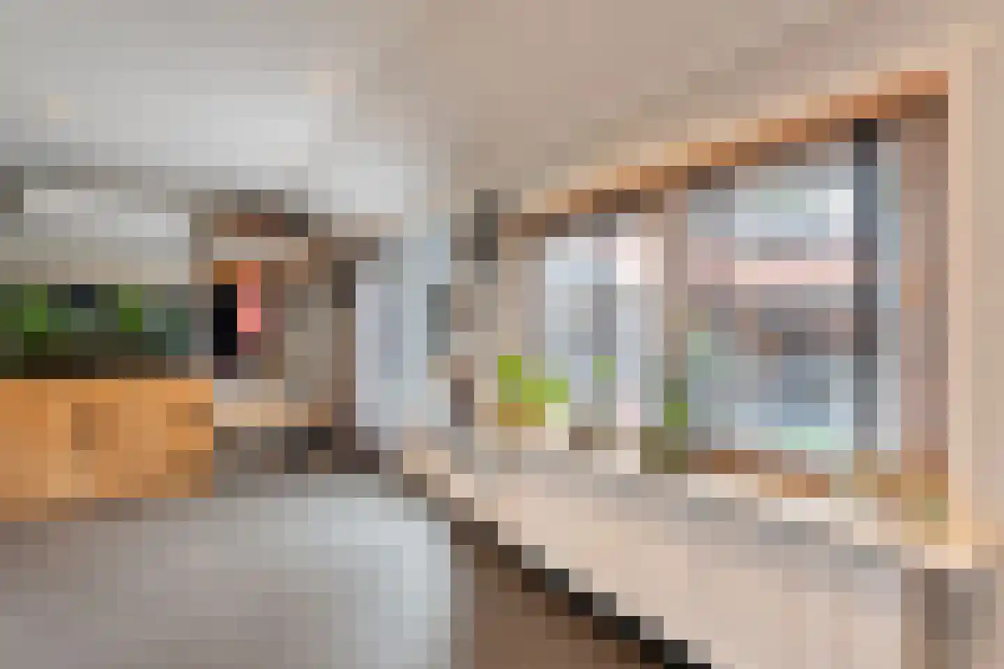 Hoogeveenseweg 28 Balkbrug thumbnail 13