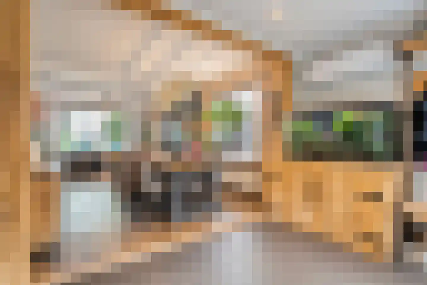 Hoogeveenseweg 28 Balkbrug thumbnail 7