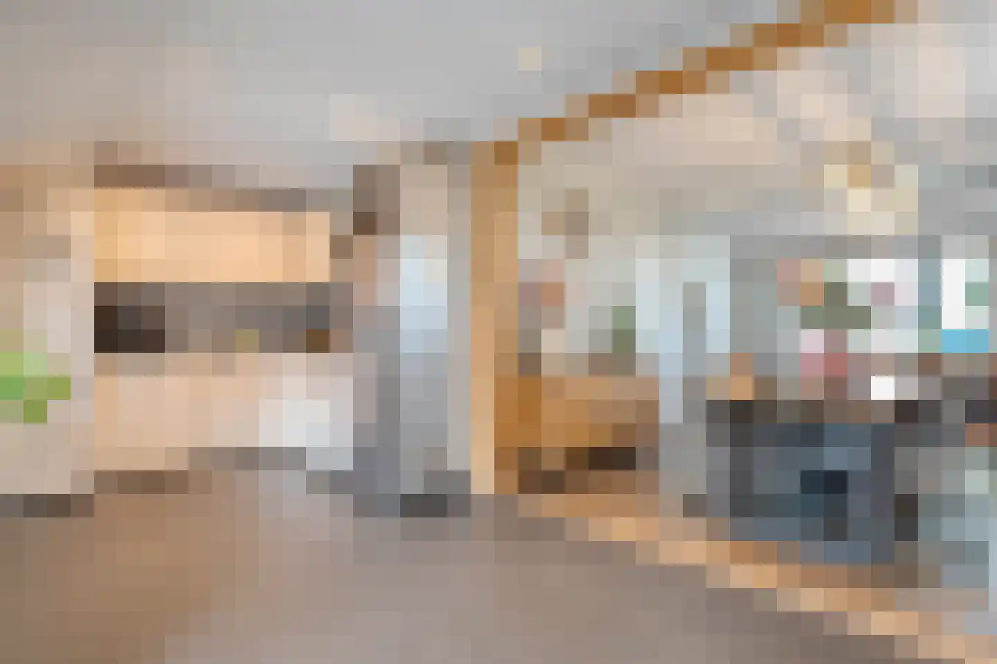Hoogeveenseweg 28 Balkbrug thumbnail 8