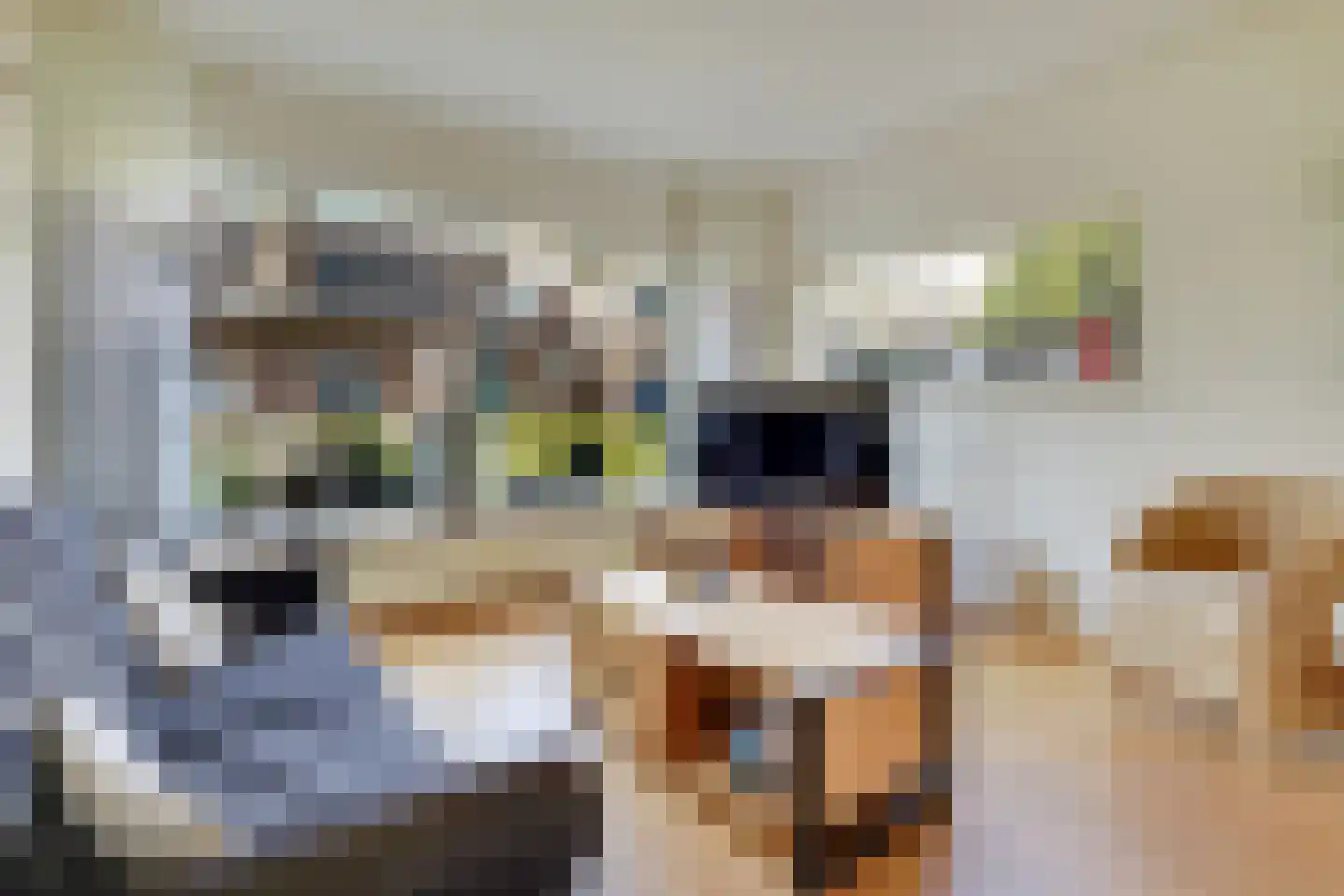 Hoogewaard 107 Koudekerk aan den Rijn thumbnail 10