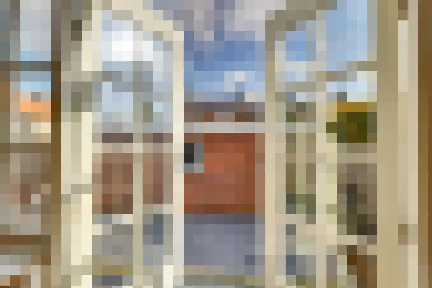 Hoogewaard 107 Koudekerk aan den Rijn thumbnail 14