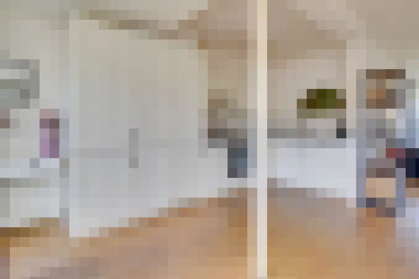 Hoogewaard 107 Koudekerk aan den Rijn thumbnail 15