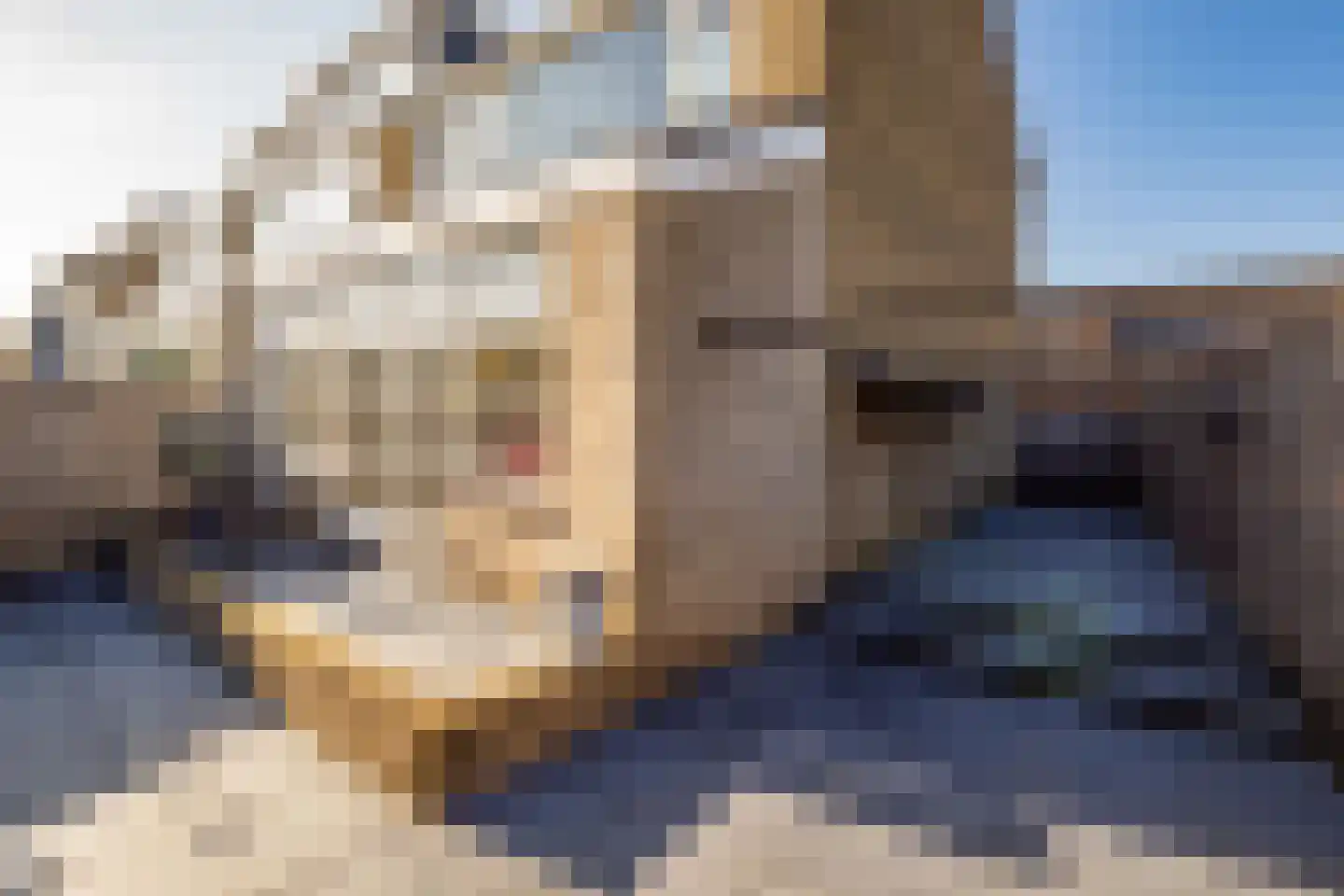 Hoogewaard 107 Koudekerk aan den Rijn thumbnail 35