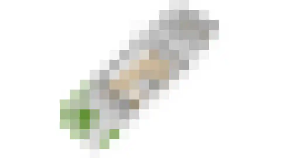 Hoogewaard 107 Koudekerk aan den Rijn thumbnail 60