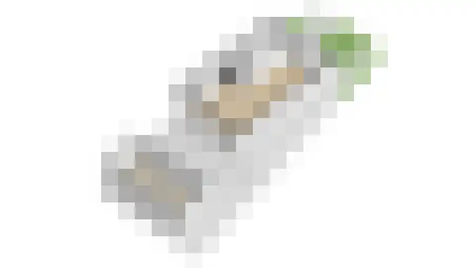 Hoogewaard 107 Koudekerk aan den Rijn thumbnail 61