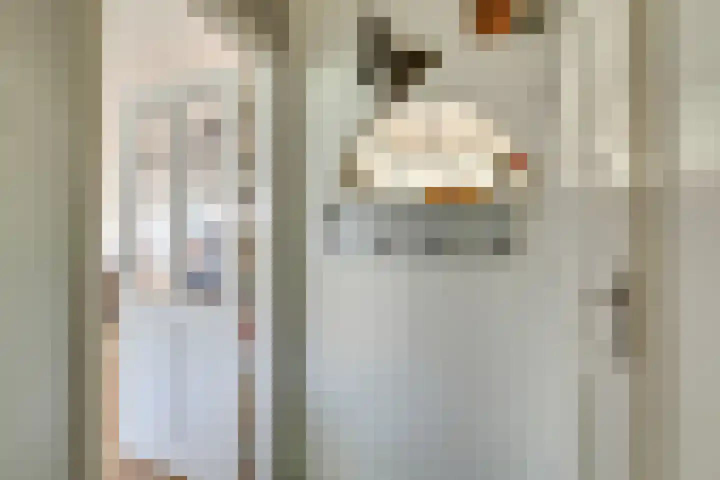 Hoogewaard 107 Koudekerk aan den Rijn thumbnail 8