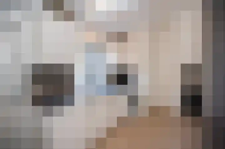 Hoogewaard 121 Koudekerk aan den Rijn thumbnail 4