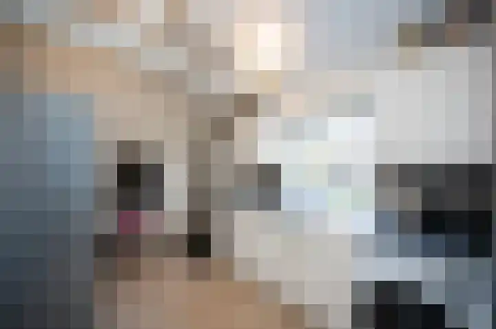Hoogewaard 121 Koudekerk aan den Rijn thumbnail 5