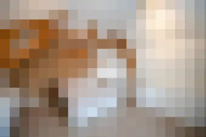 Hoogewaard 121 Koudekerk aan den Rijn thumbnail 8