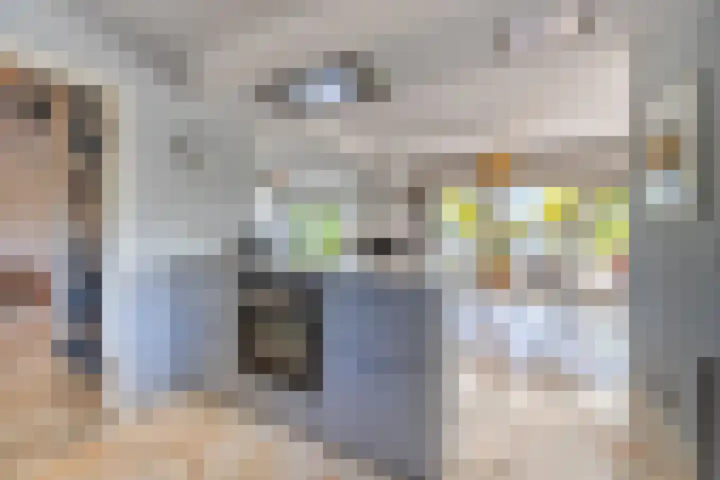 Hoogewaard 150 Koudekerk aan den Rijn thumbnail 13