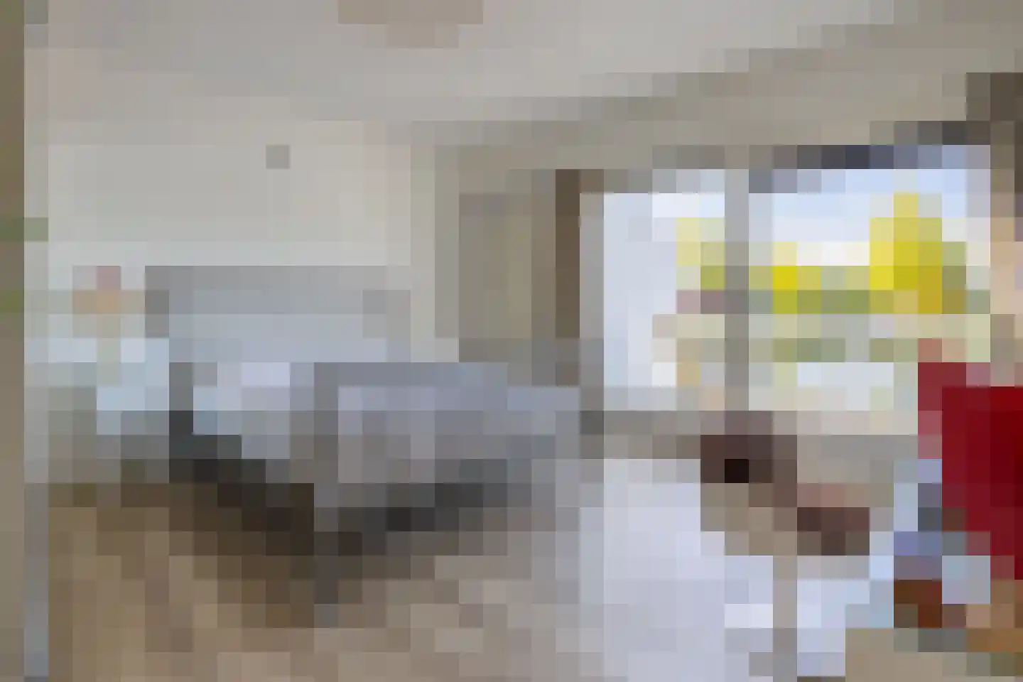 Hoogewaard 150 Koudekerk aan den Rijn thumbnail 18