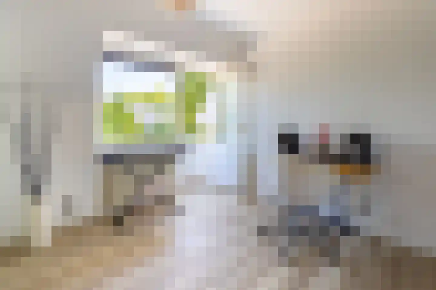 Hoogewaard 150 Koudekerk aan den Rijn thumbnail 23