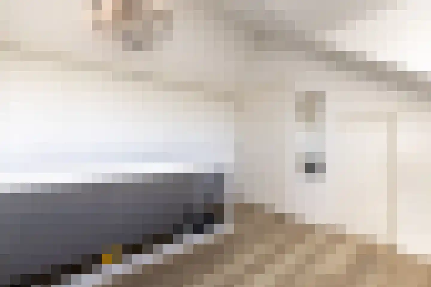 Hoogewaard 150 Koudekerk aan den Rijn thumbnail 33