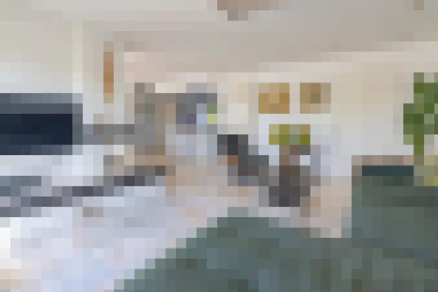 Hoogewaard 150 Koudekerk aan den Rijn thumbnail 6