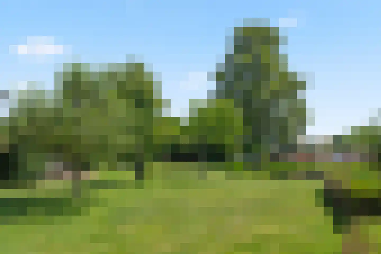 Hoogewaard 188 Koudekerk aan den Rijn thumbnail 14