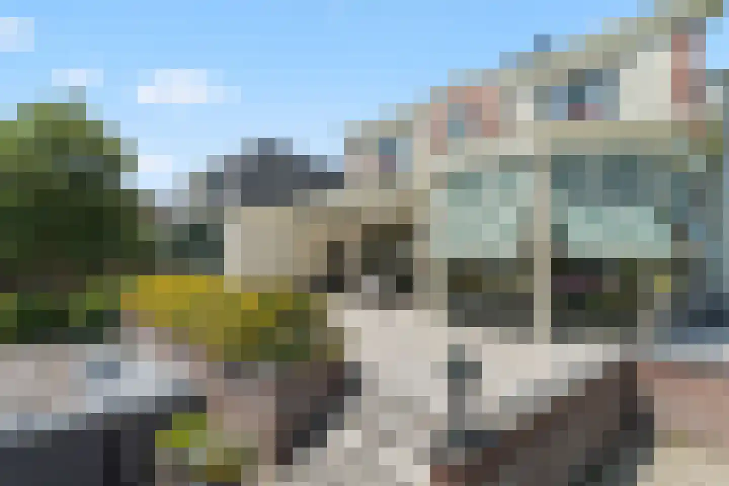 Hoogewaard 188 Koudekerk aan den Rijn thumbnail 18