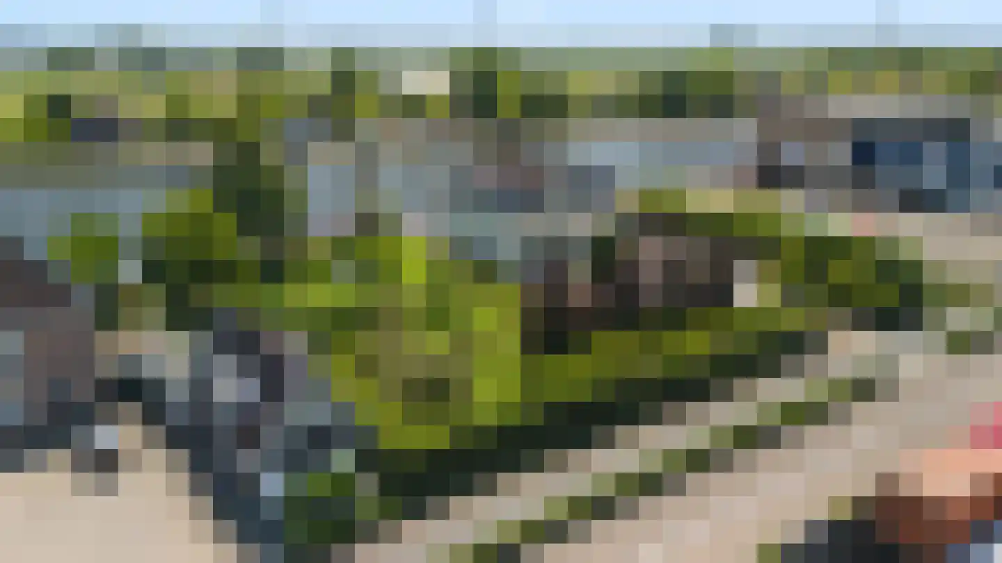 Hoogewaard 188 Koudekerk aan den Rijn thumbnail 20