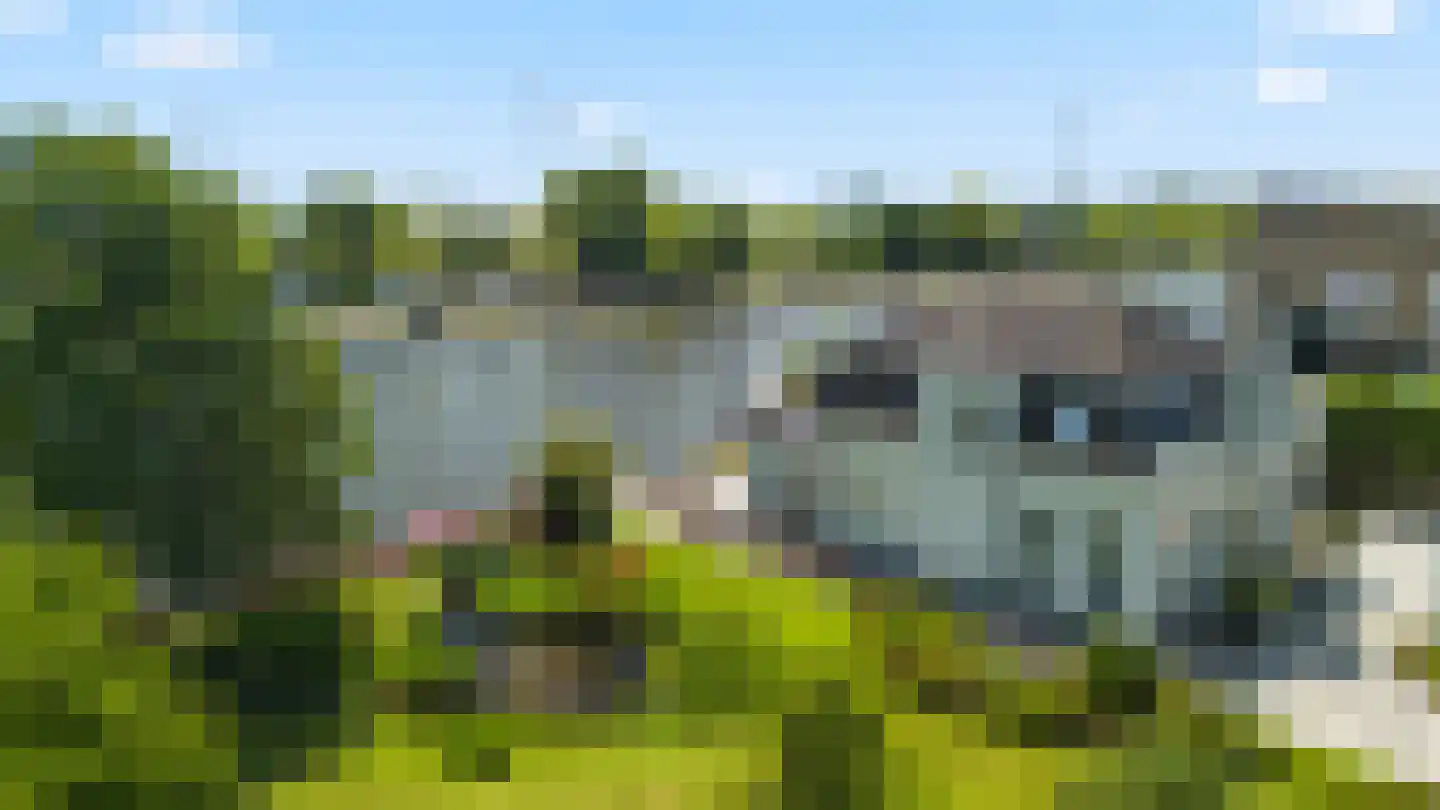 Hoogewaard 188 Koudekerk aan den Rijn thumbnail 24