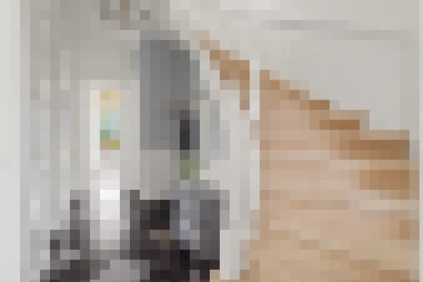 Hoogewaard 188 Koudekerk aan den Rijn thumbnail 30