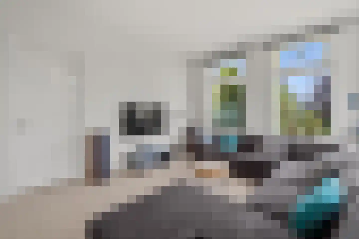 Hoogewaard 188 Koudekerk aan den Rijn thumbnail 32