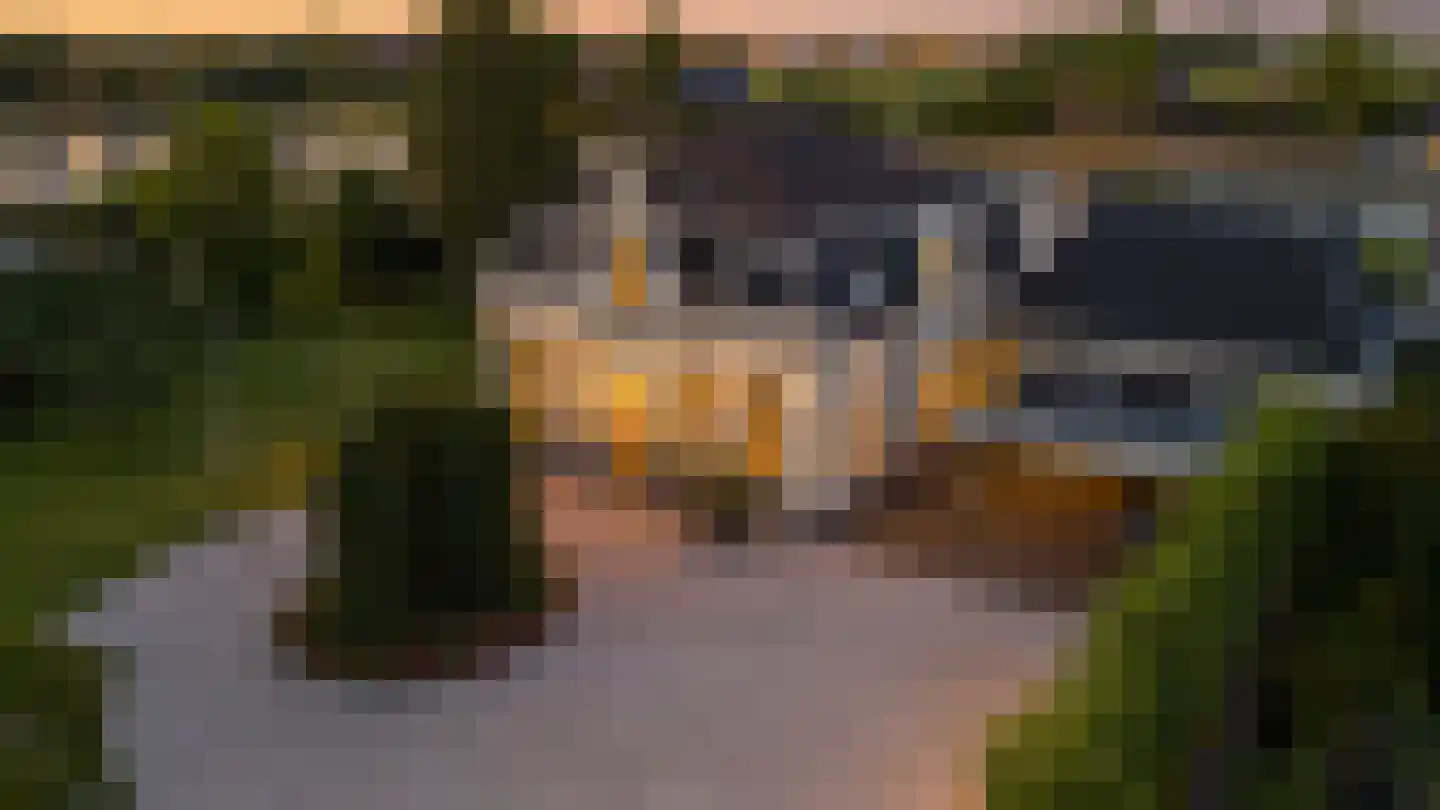 Hoogewaard 188 Koudekerk aan den Rijn thumbnail 4