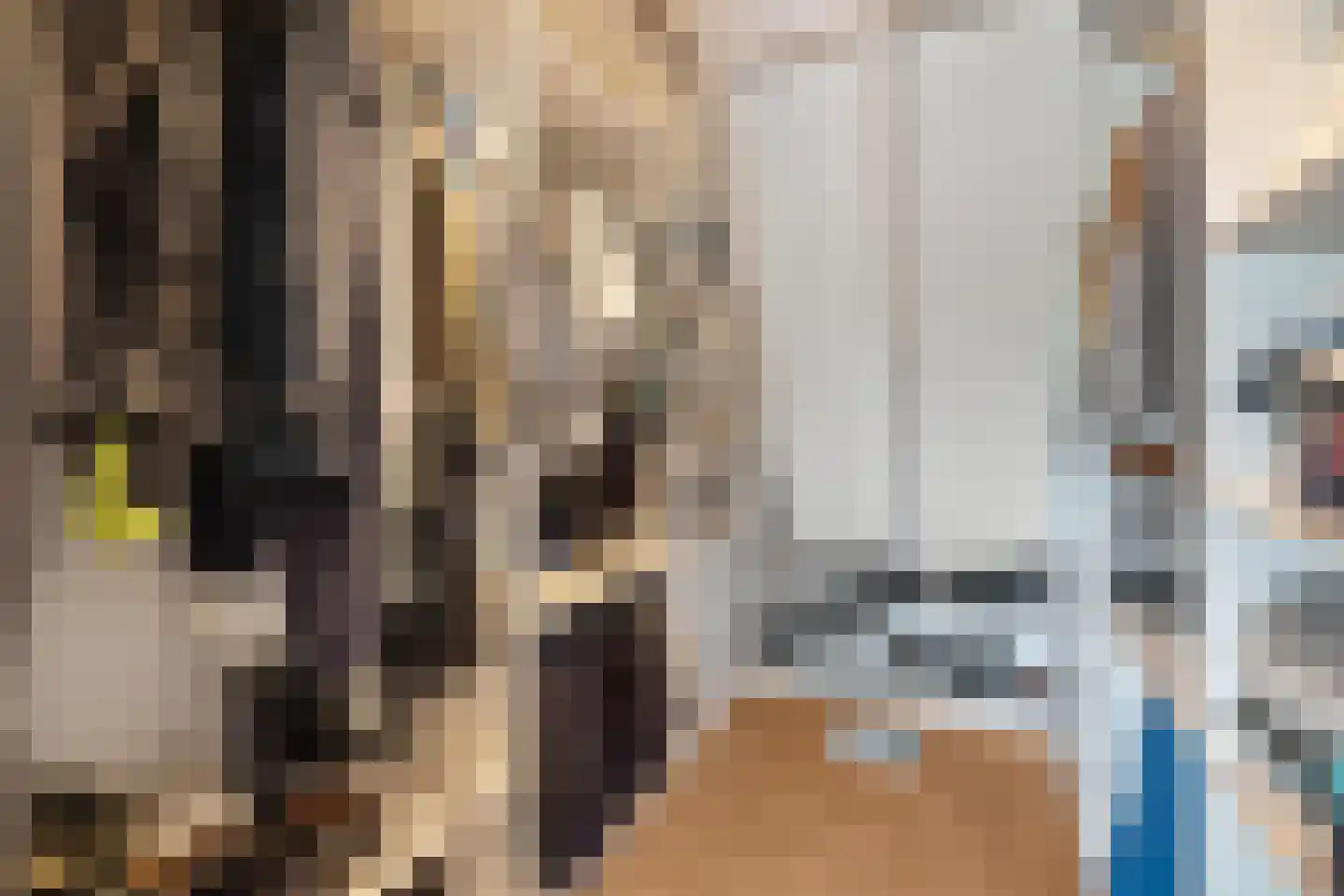 Hoogewaard 188 Koudekerk aan den Rijn thumbnail 59