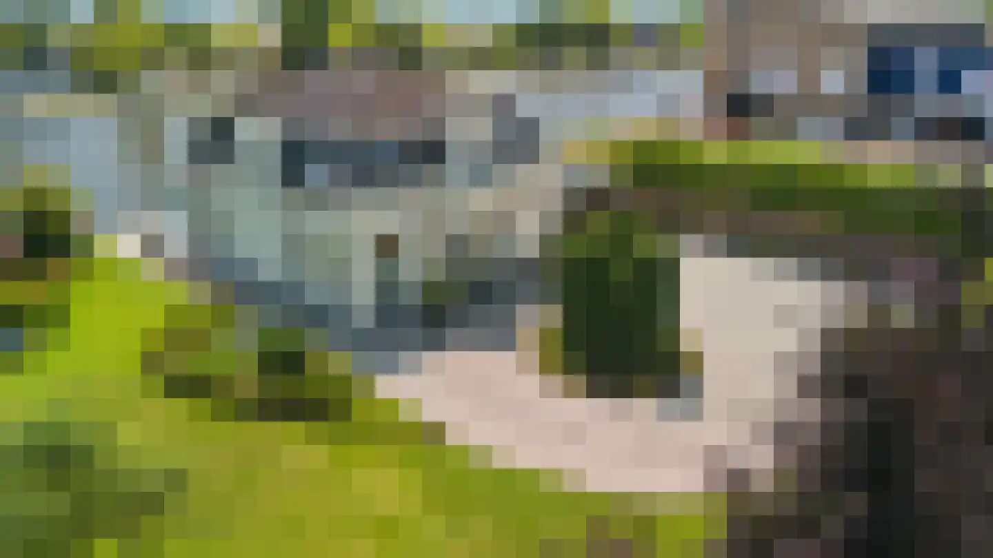 Hoogewaard 188 Koudekerk aan den Rijn thumbnail 6