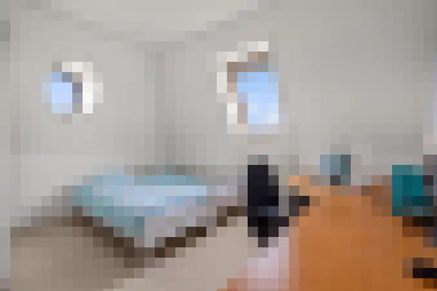 Hoogewaard 188 Koudekerk aan den Rijn thumbnail 69