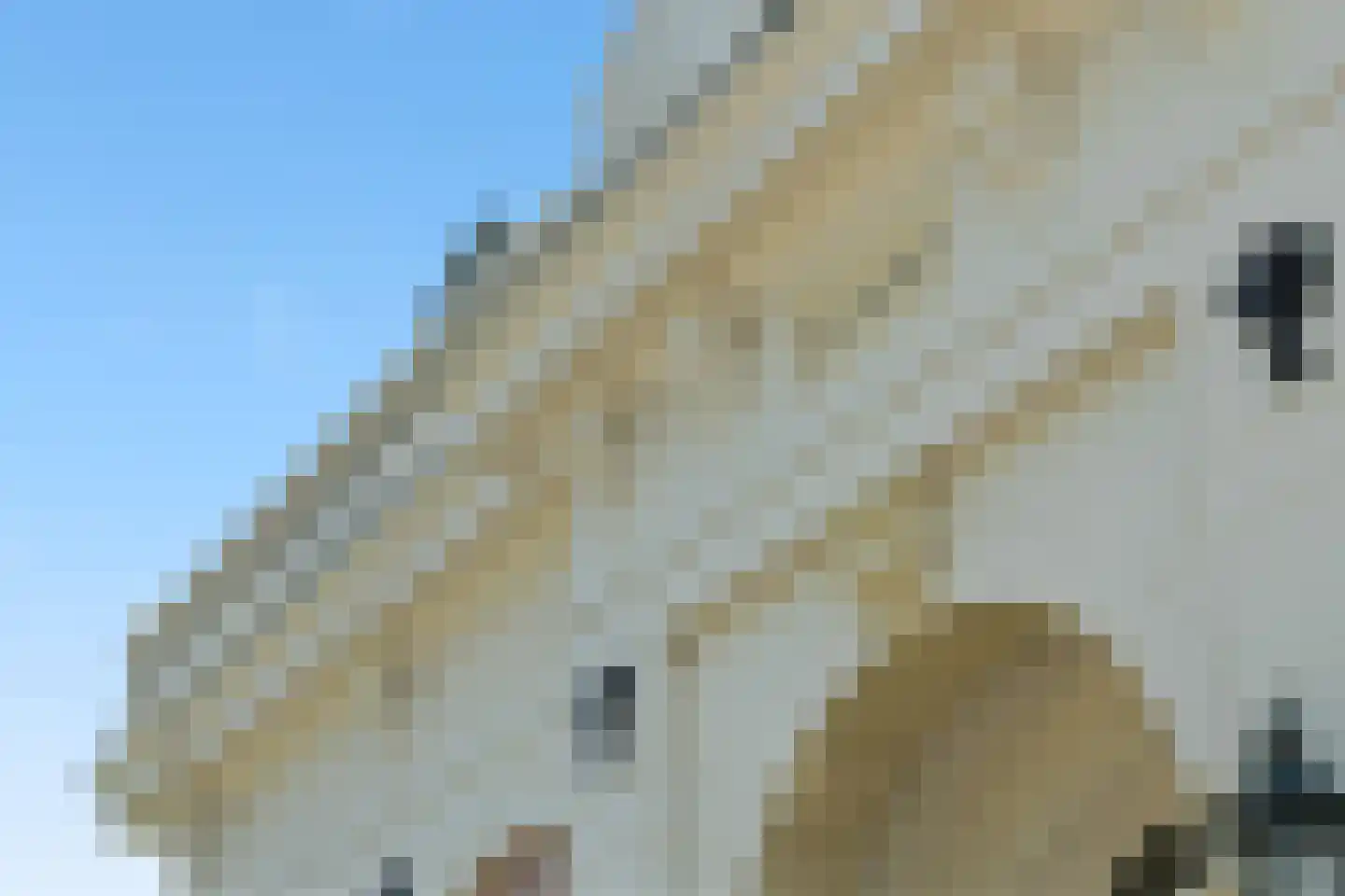 Hoogewaard 188 Koudekerk aan den Rijn thumbnail 8
