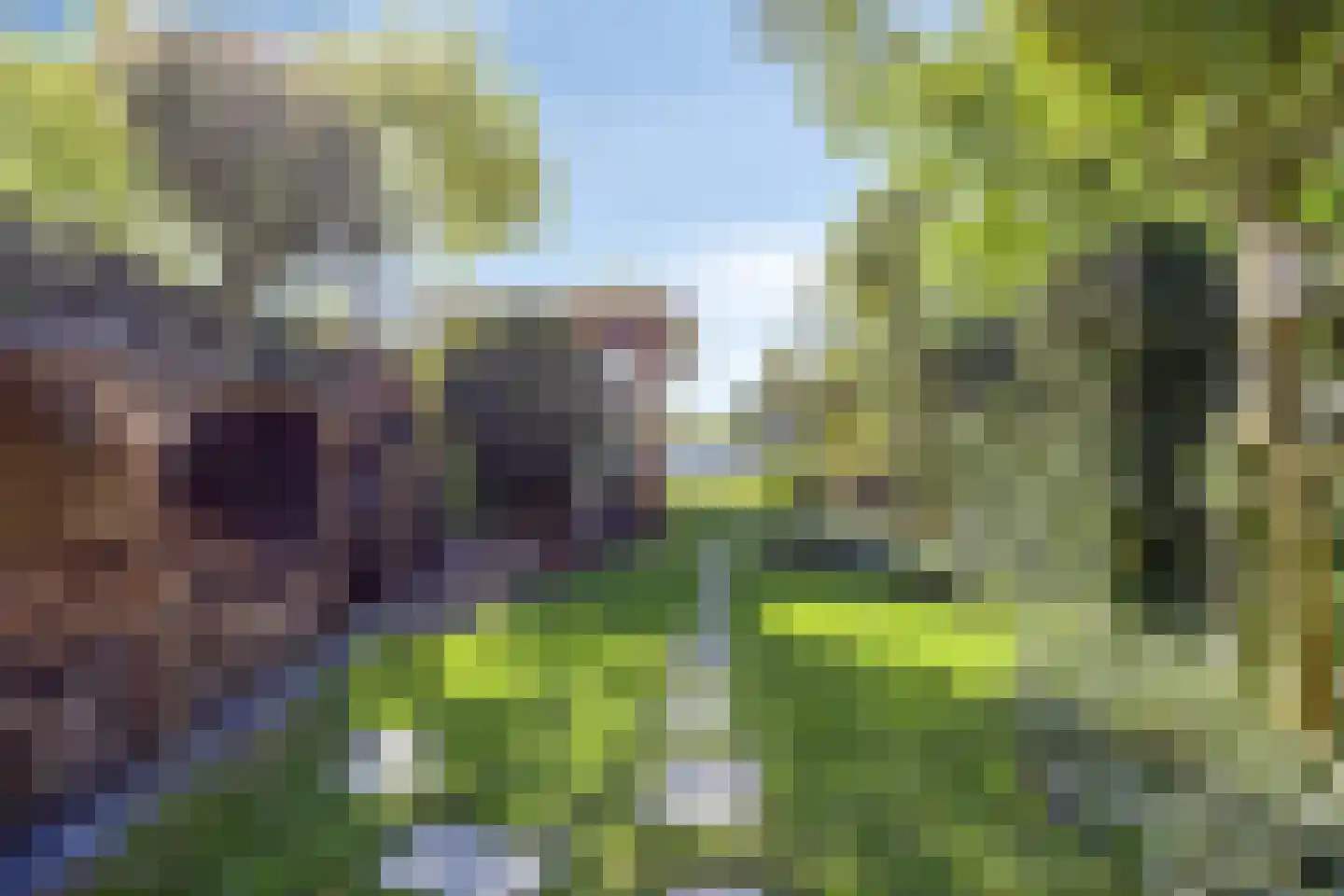 Hoogewaard 190 Koudekerk aan den Rijn thumbnail 13