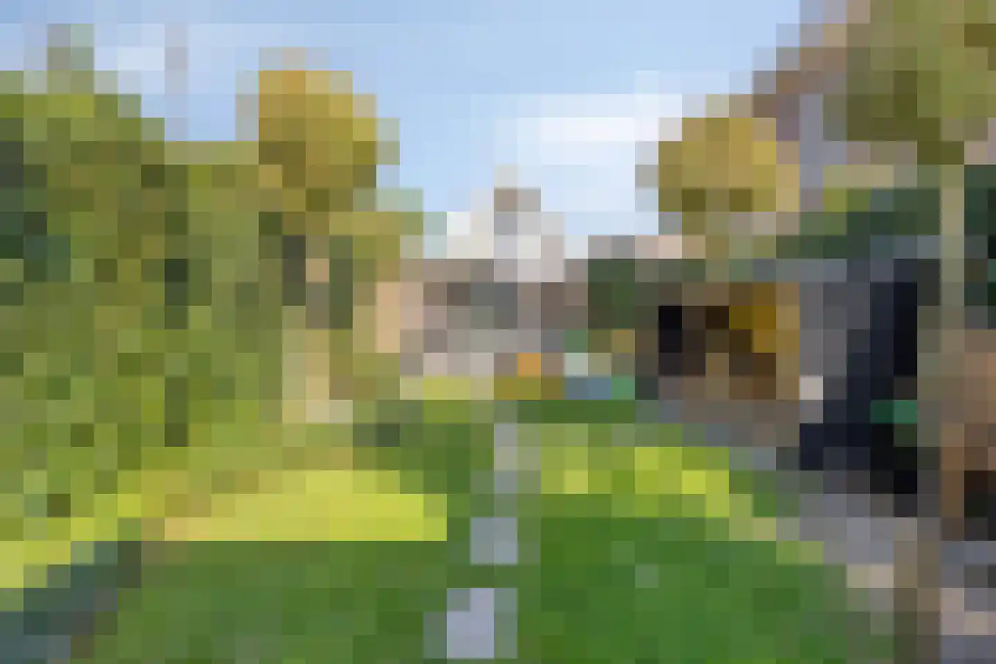 Hoogewaard 190 Koudekerk aan den Rijn thumbnail 14