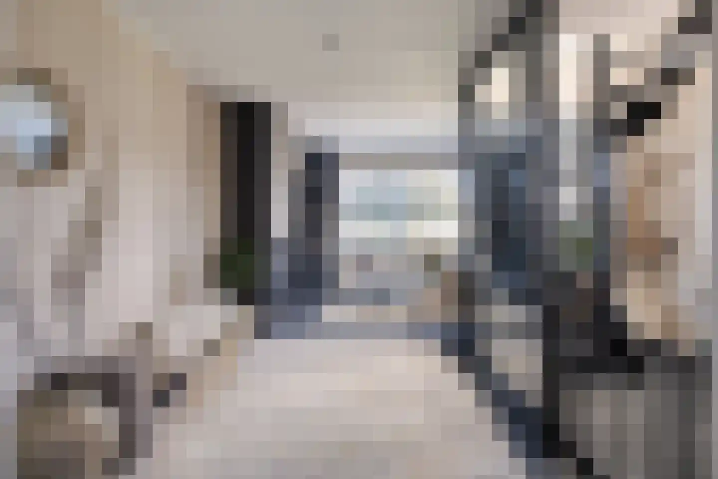 Hoogewaard 190 Koudekerk aan den Rijn thumbnail 18