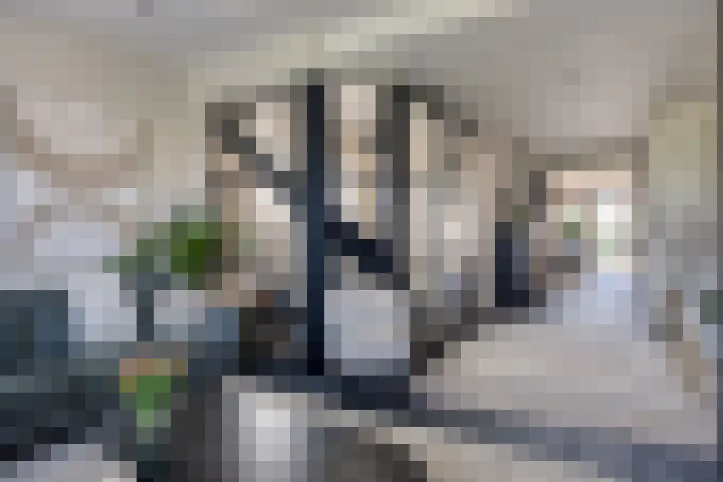 Hoogewaard 190 Koudekerk aan den Rijn thumbnail 20