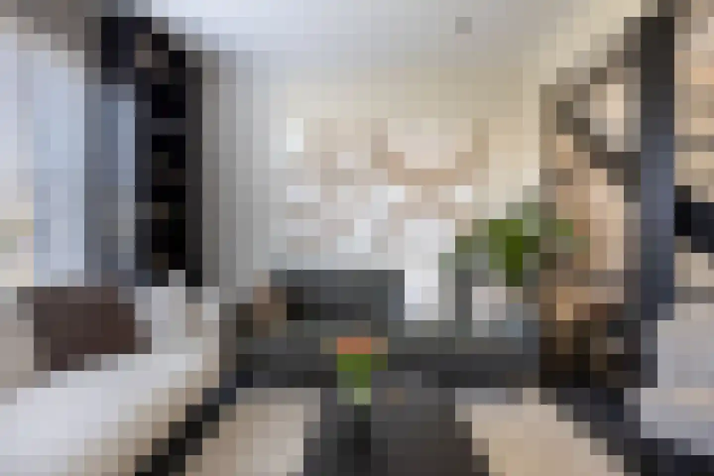 Hoogewaard 190 Koudekerk aan den Rijn thumbnail 22