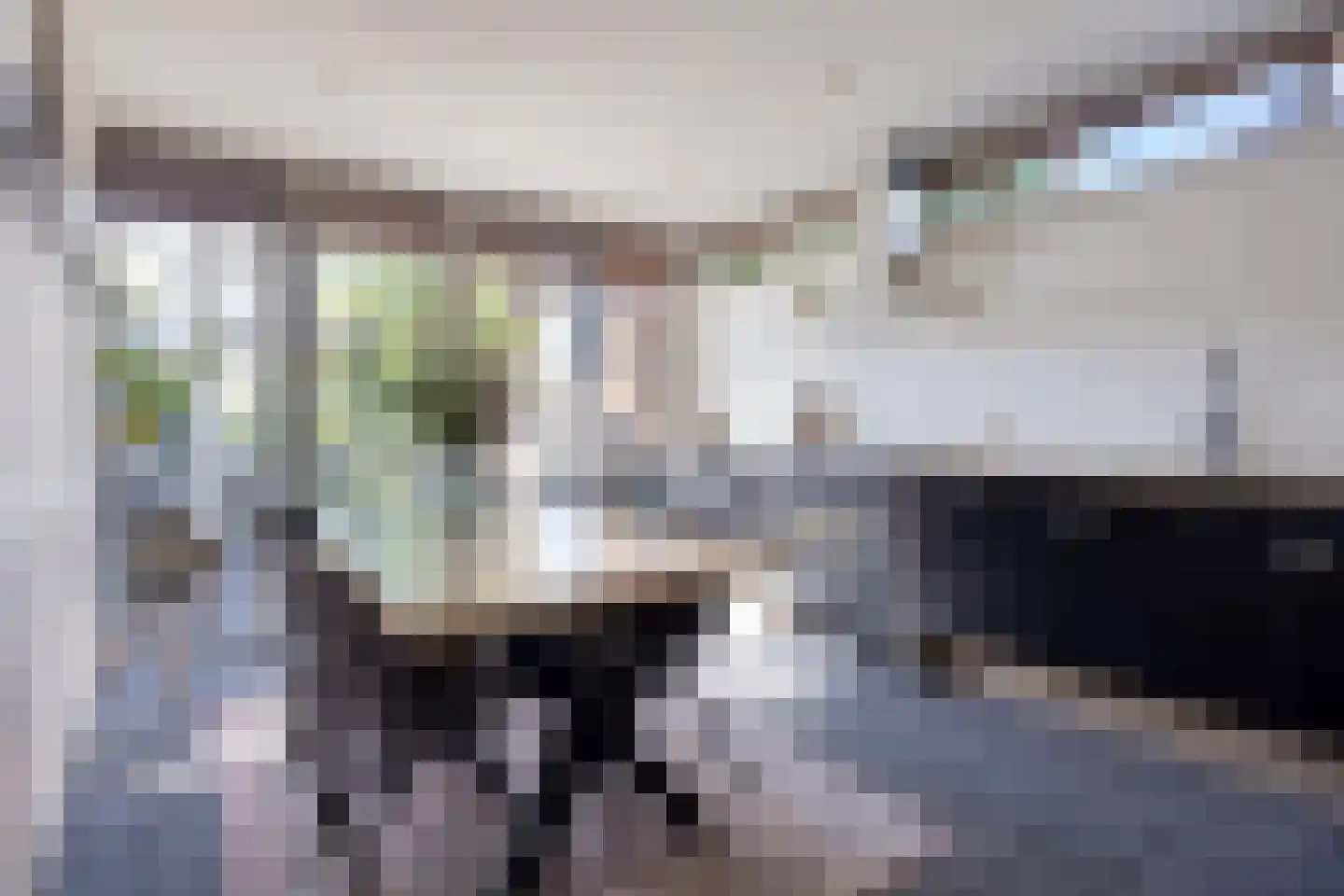 Hoogewaard 190 Koudekerk aan den Rijn thumbnail 29