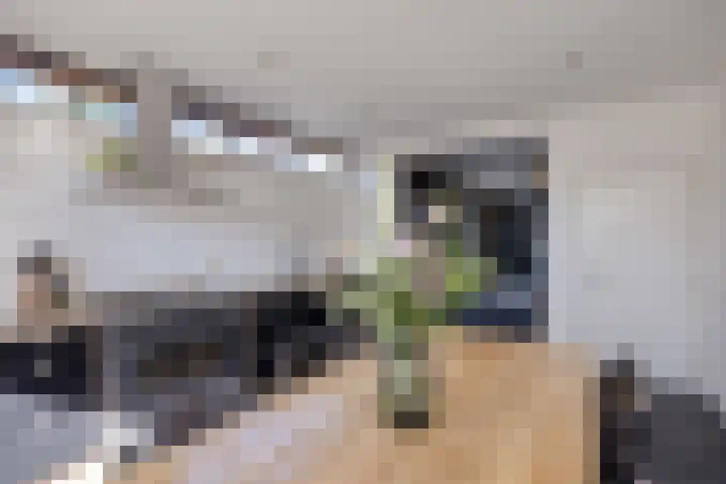 Hoogewaard 190 Koudekerk aan den Rijn thumbnail 30