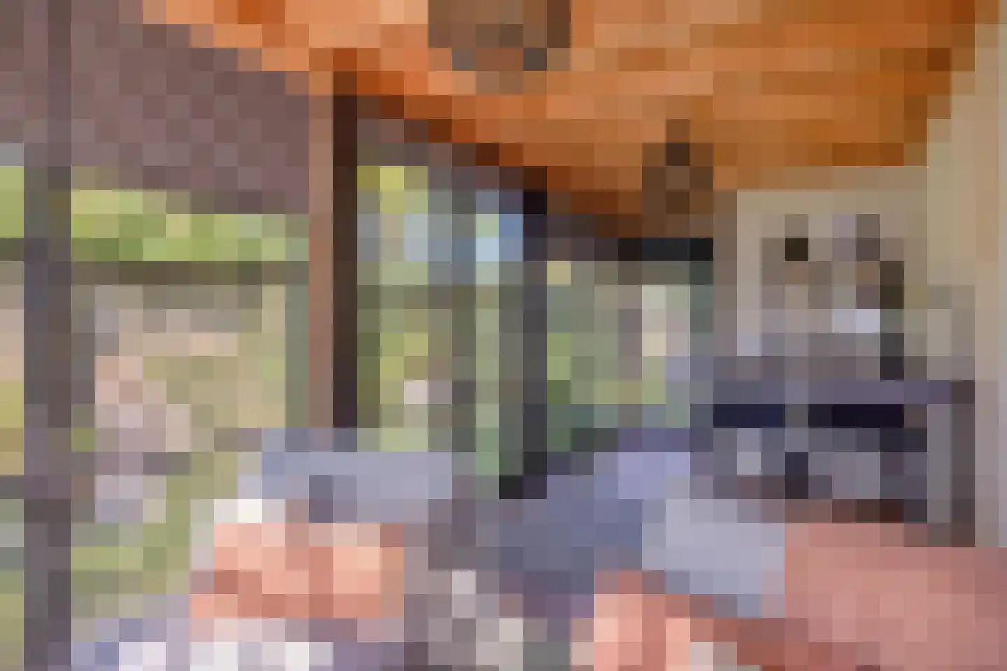 Hoogewaard 190 Koudekerk aan den Rijn thumbnail 37